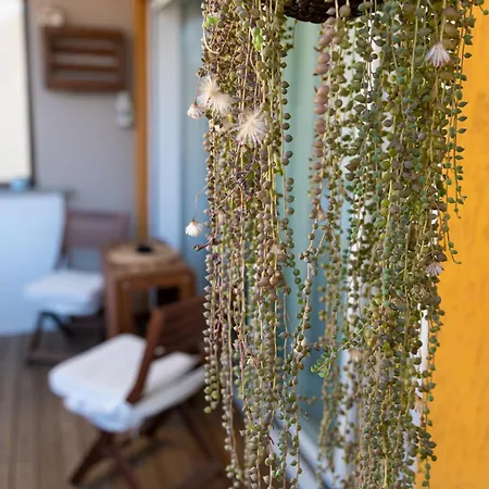 Casa Delfy Apartamento *